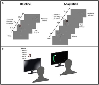 The Influence of <mark class="highlighted">Auditory Information</mark> on Visual Size Adaptation